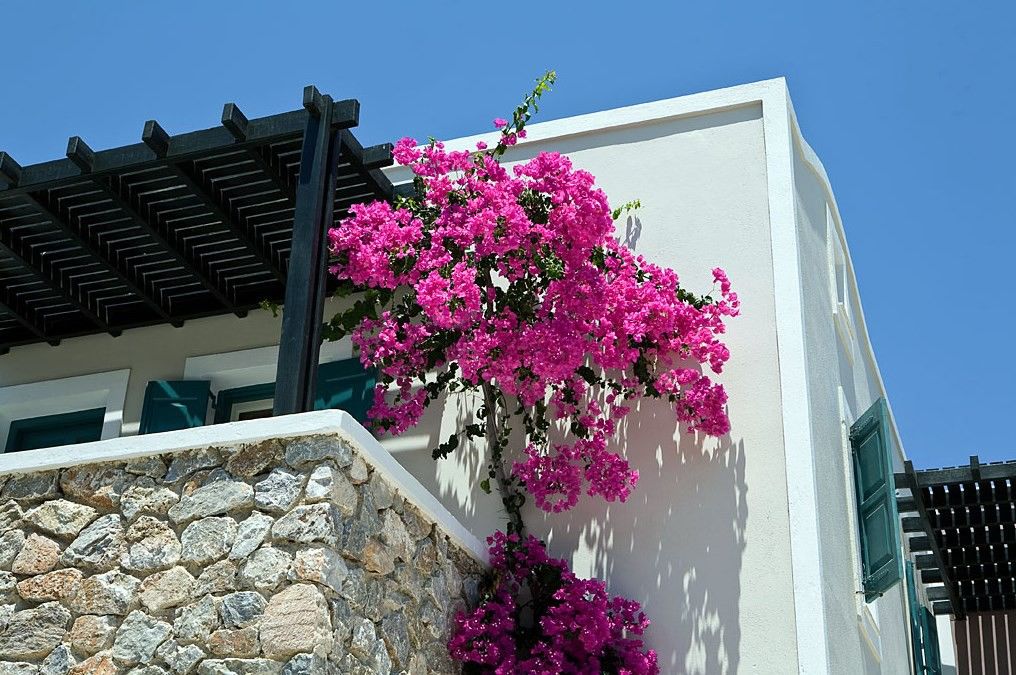 Rose Bay Hotel Kamári Exterior foto